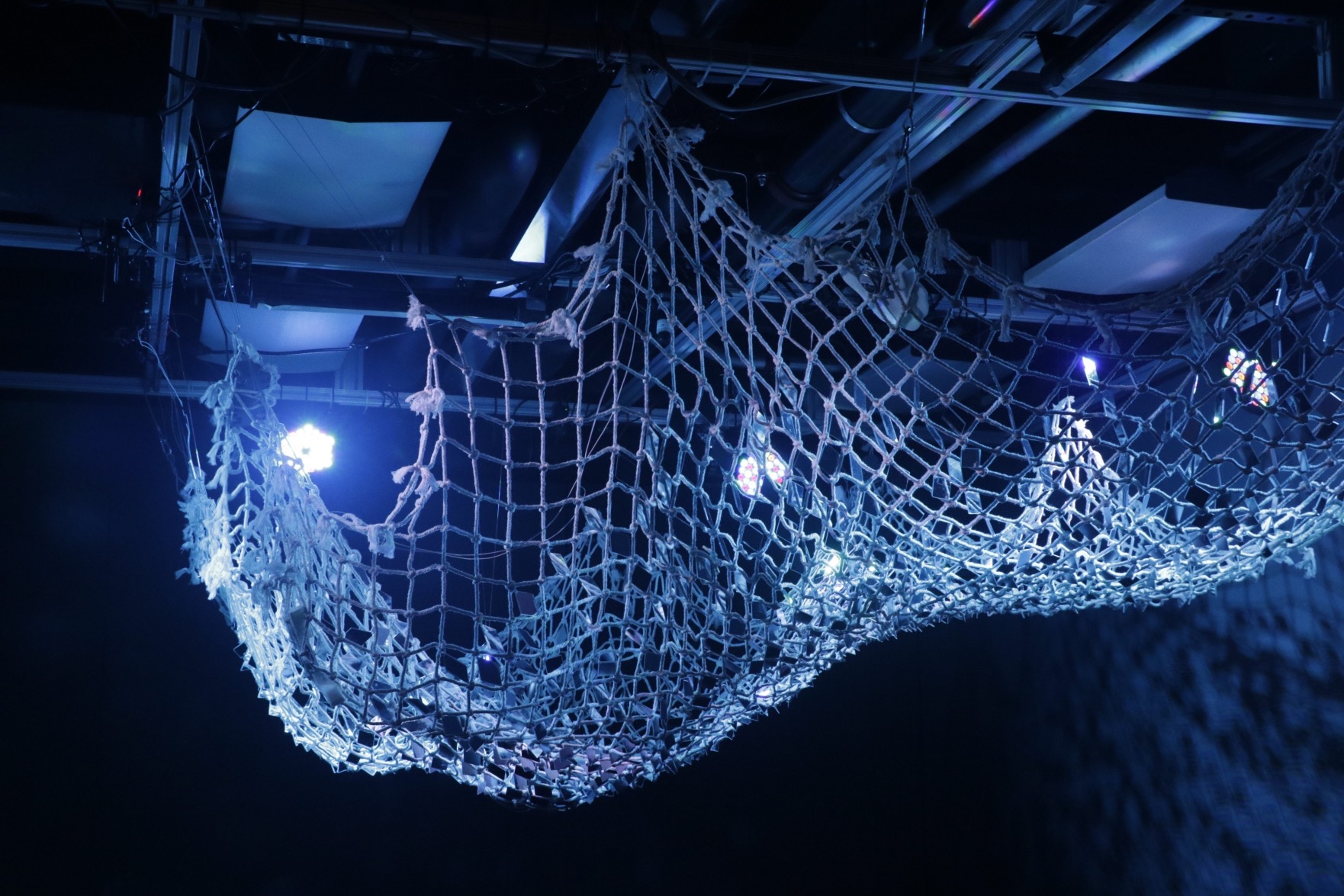 She Swims in Silence